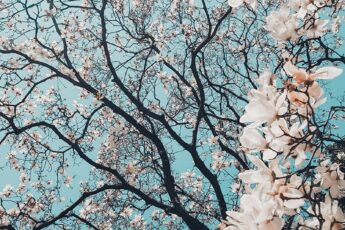 Você observa? - Consciência em gotas