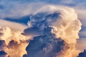 a base humana é fraca é pautada em negócios é pautada em papéis papéis palpáveis e sociais