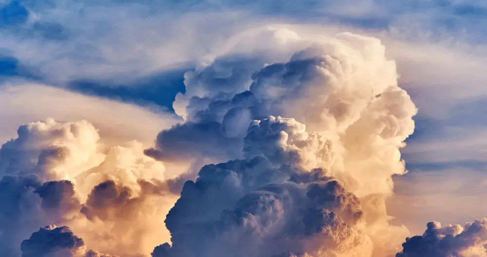 a base humana é fraca é pautada em negócios é pautada em papéis papéis palpáveis e sociais