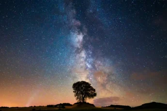 O limiar - Consicenciado Blog - Consciência em gotas: você começa indagando coisas chatas, coisas incômodas da existênciao existencialismo...