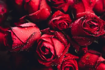 Sabe, meu amor - Conscienciando Blog: consciência em gotas: sabe meu amor, eu não tenho tido tempo pra ti... sabe meu amor, eu não tenho tido