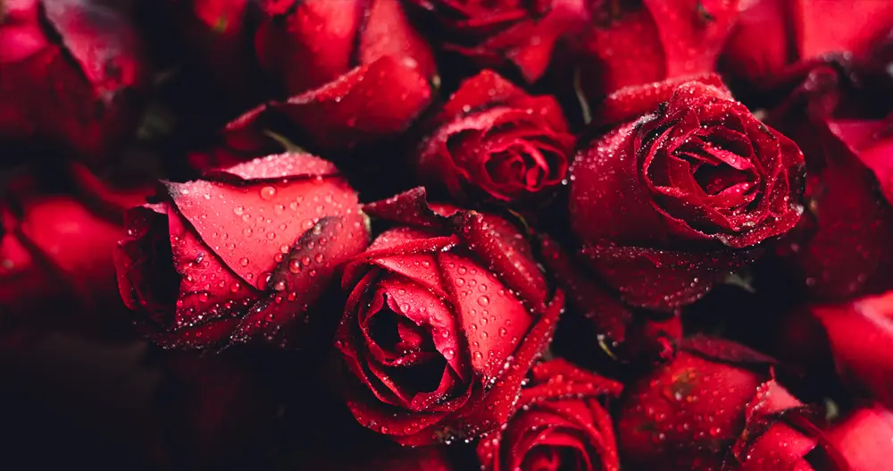 Sabe, meu amor - Conscienciando Blog: consciência em gotas: sabe meu amor, eu não tenho tido tempo pra ti... sabe meu amor, eu não tenho tido