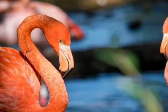 Conscienciando - Consciência em gotas